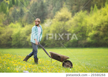 Farmer with wheelbarrow Farmer with wheelbarrow 20380268
