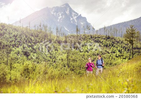 Senior couple hiking 20380368