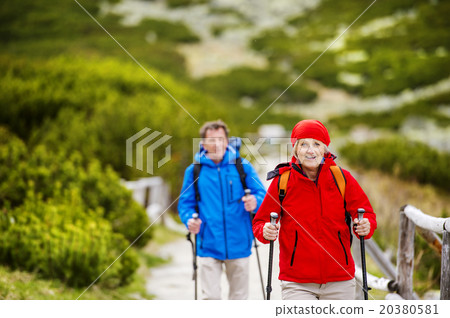 Senior couple hiking 20380581