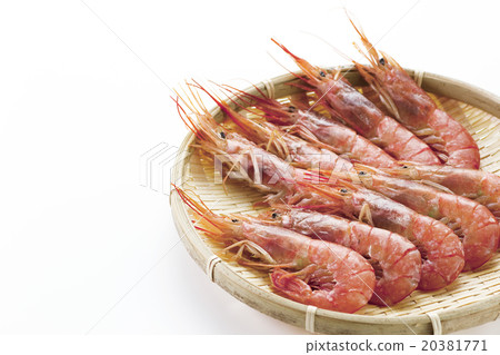 Shrimp 7 Shrimp 7 20381771