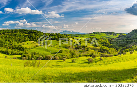 Tuscany at spring Tuscany at spring 20382376