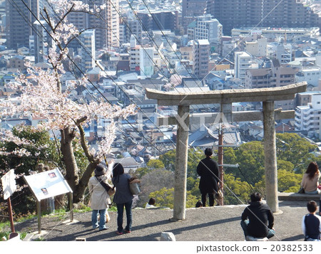 Mayuyama Park  -  Atago Shrine One torii~ 20382533