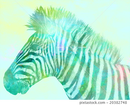 Abstract Zebra art digital illustration image Abstract Zebra art digital illustration image 20382748