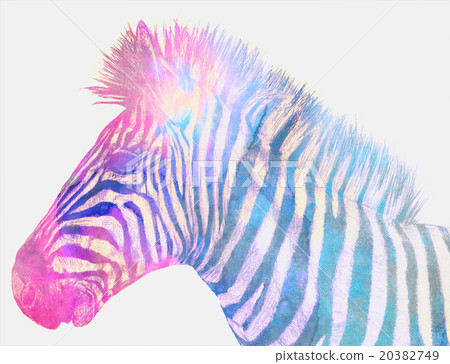 Abstract Zebra art digital illustration image Abstract Zebra art digital illustration image 20382749