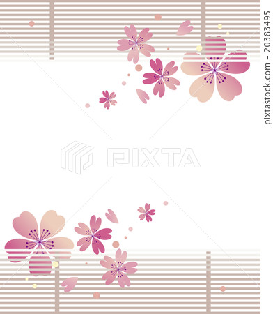 Japanese Background of Cherry Blossoms 20383495
