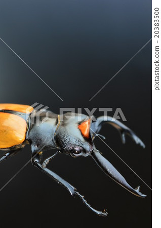 Spectacularism glacier black background 20383500