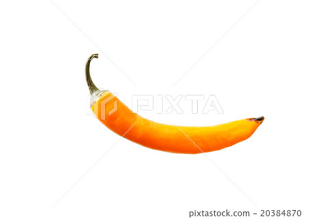 hot pepper hot pepper 20384870