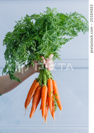 fresh carrots 20384883