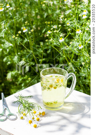 camomile tea camomile tea 20385510