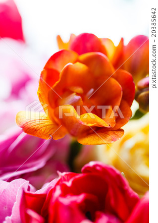 Bunch of flowers Bunch of flowers 20385642