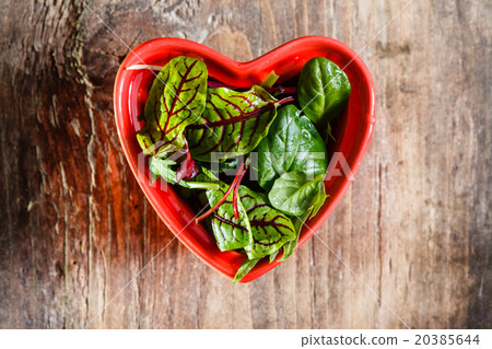 fresh salad leaves fresh salad leaves 20385644