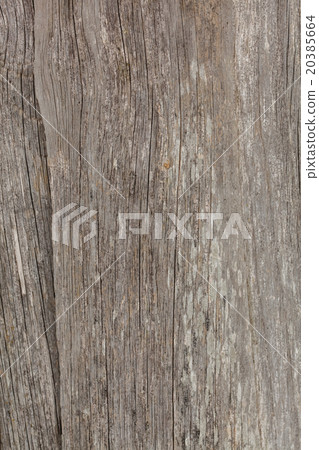 wood background 20385664