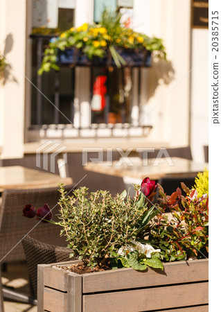 beautiful street 20385715