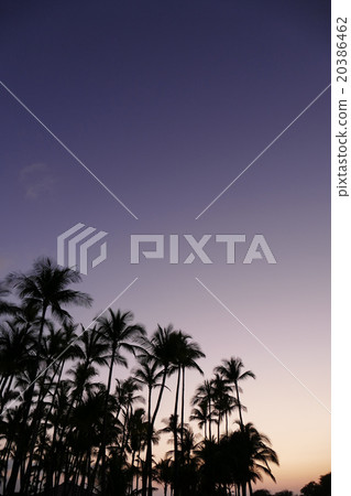 Silhouettes of the twilight Hawaii 20386462