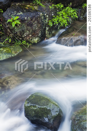 Stream and waterfall Stream and waterfall 20386586