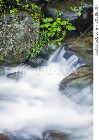 溪流與瀑布 20386587