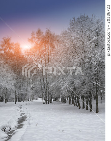 Winter landscape at sunset. Winter landscape at sunset. 20386723
