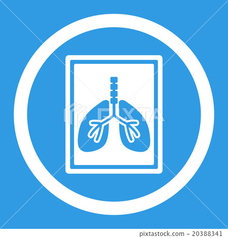 Lungs X-Ray Photo Rounded Vector Icon Lungs X-Ray Photo Rounded Vector Icon 20388341