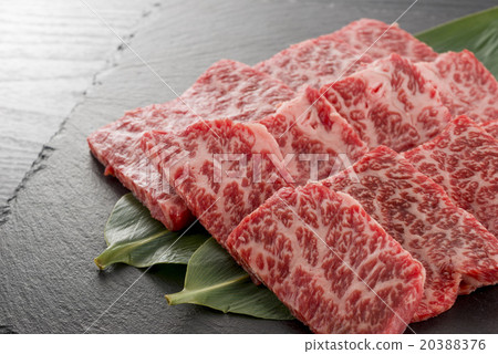 肩寬鬆的蜂蜜石 肩寬鬆的蜂蜜石 20388376