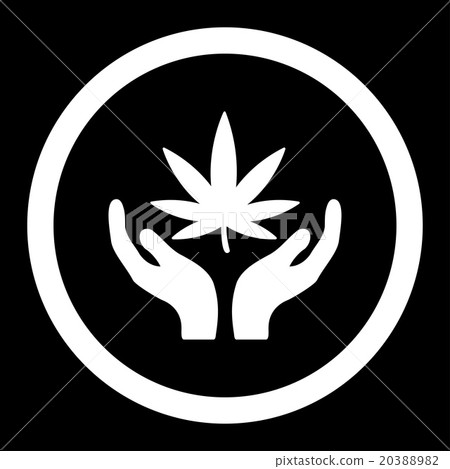 Cannabis Care Rounded Vector Icon Cannabis Care Rounded Vector Icon 20388982