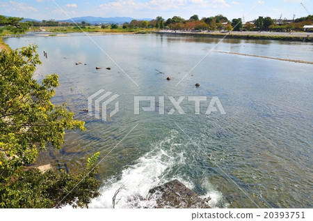 京都勝川 20393751