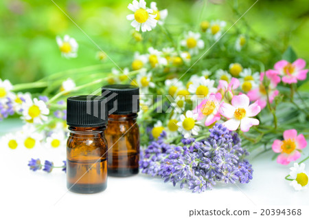 Aromatherapy and herbs Aromatherapy and herbs 20394368
