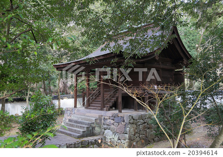 The main shrine of the National Treasures of Kamiya Shrine The main shrine of the National Treasures of Kamiya Shrine 20394614