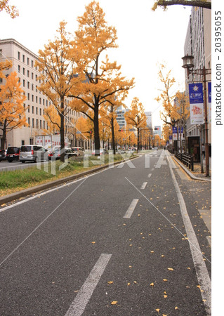 Osaka Midosu autumn scenery Osaka Midosu autumn scenery 20395055