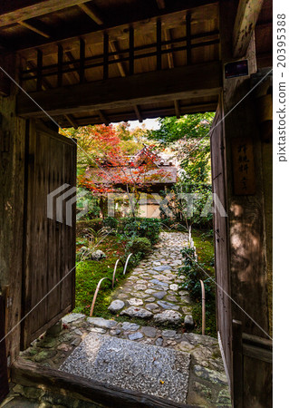 Kyoto Mirarian Kyoto Mirarian 20395388