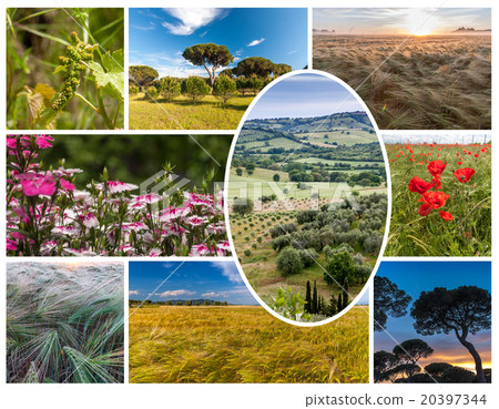 Collage of the hills in Tuscany Collage of the hills in Tuscany 20397344