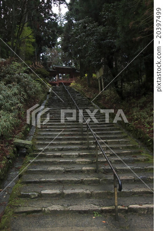 Hiezan Enryakuji in the autumn leaves season (stairs from the west tower · Shakado) 20397499