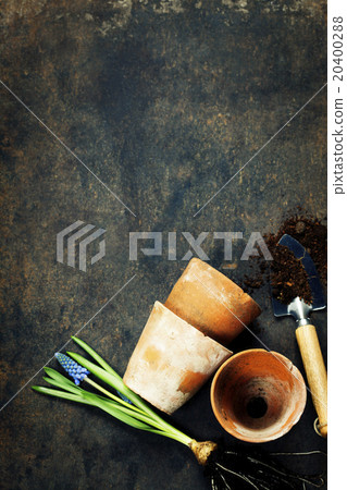 Garden tools Garden tools 20400288