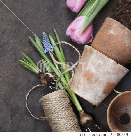 Garden tools 20400289