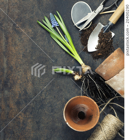 Garden tools Garden tools 20400290