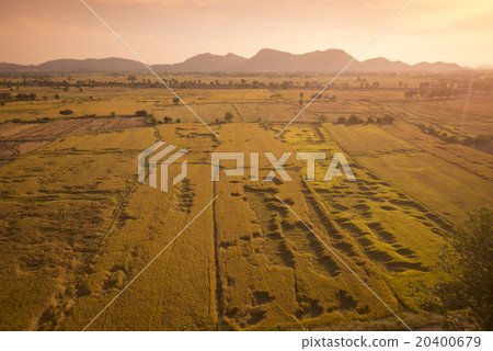 THAILAND KANCHANABURI RICEFIELD 20400679
