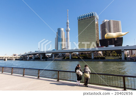 Sumidagawa和東京天空樹 20402656
