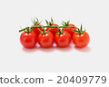  Mini Tomato 20409779