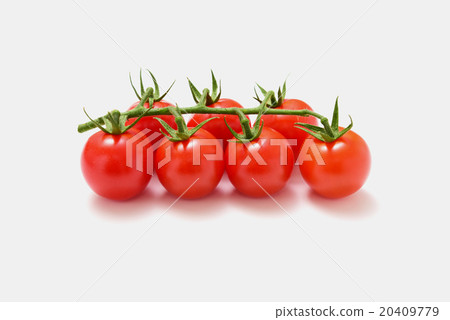Mini Tomato Mini Tomato 20409779