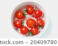  Mini Tomato 20409780