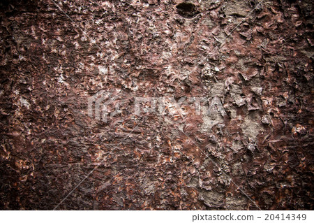 Dry moss on surface rock. 20414349