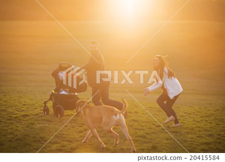 Family with pram in nature Family with pram in nature 20415584