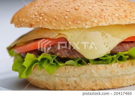 hamburger 20417460
