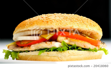 hamburger 20418060