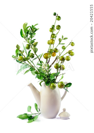 Orange fruit and flowers on white background. 20421555