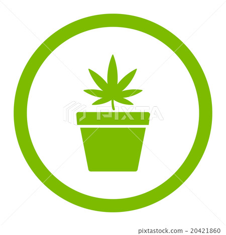 Cannabis Pot Rounded Vector Icon Cannabis Pot Rounded Vector Icon 20421860