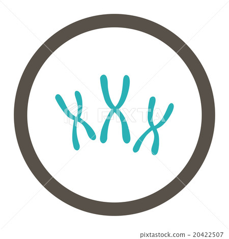 Chromosomes Rounded Vector Icon Chromosomes Rounded Vector Icon 20422507