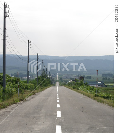 北海道的直路 北海道的直路 20422853