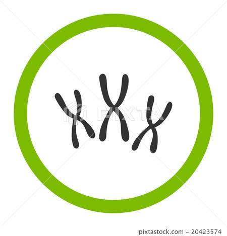Chromosomes Rounded Vector Icon 20423574