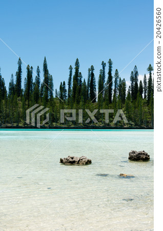 Pischenne Naturrel (New Caledonia, Ille des bains) 20426560