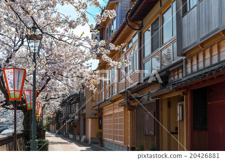 Sakura - Kanazawa · Main town 20426881